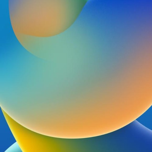 Meet your Posher, Kohen - Picture 1 of 1